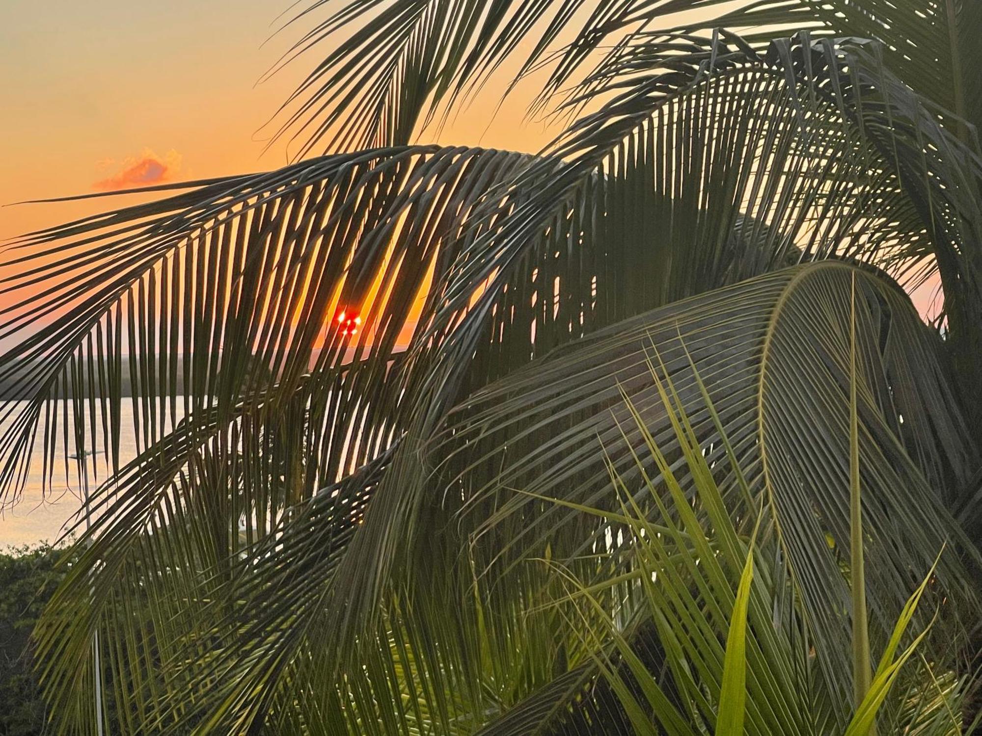 Ova Apartments Cancun Dış mekan fotoğraf